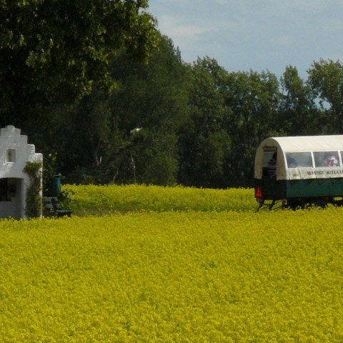 Riet Evers kapel Bakhei 1