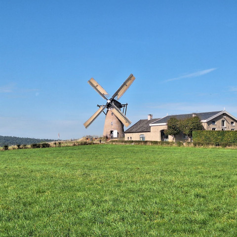 Felix Dijkman kocht Düffels Möll, een 150 jaar oude molen op een heuvel, bij Stokkum in Gelderland