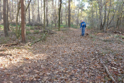Karrensporen tussen heuvel - Monumentenwacht