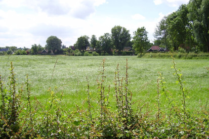 Zicht op de wierde van Feerwerd - Wikimedia Commons - Marco Roepers