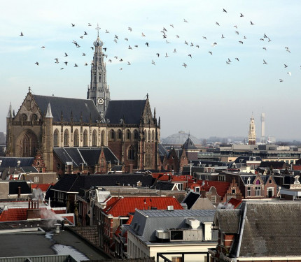 De Grote of St. Bavokerk te Haarlem