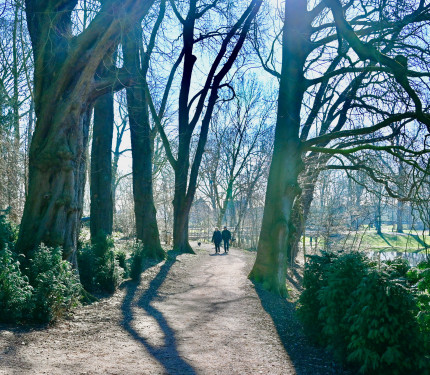 Stadswallen te Zaltbommel