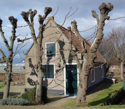 Kwekerswoning - Marcelmulder68