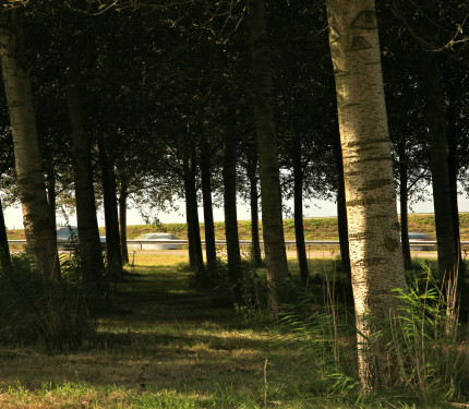 Terrein waarin sporen bewoning - Zeewolde
