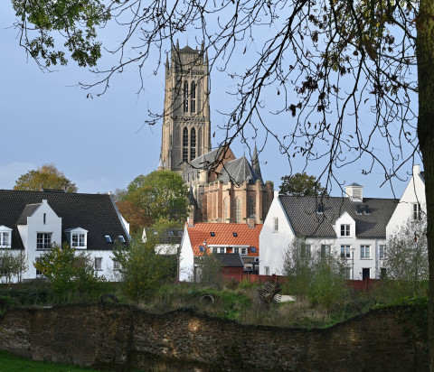 Toren Wallen Zaltbommel