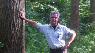 Boswachter Norbert Kwint in het Waterloopbos