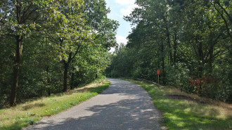 Weg_door_de_Brabantse_Kempen - Dennal