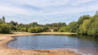 Bargerveen - Agnes Monkelbaan