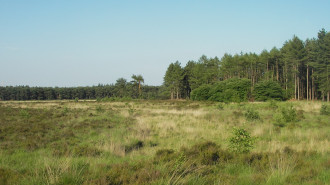 Groote_heide - Chris Peel