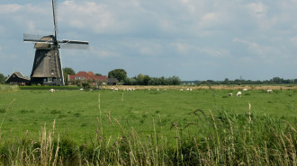 Uitgeest, de Tweede Broekermolen - Michielverbeek