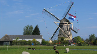 Wilnis Oudhuizerweg nabij 109 Veenmolen - Henk Butink