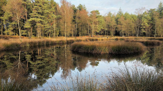 Netherlands,  Veluwe, Heerde, Renderklippen, Pluizenmeer - Vincent van Zeijst 