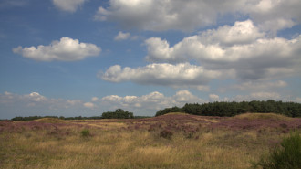 Grafheuvels op de Westerheide bij Laren - jan dijkstra