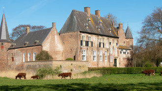 Hernen, kasteel Hernen - Michielverbeek