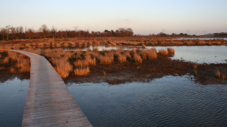 Huis ter heide leikeven - Wp Tool