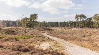 Hulshorsterzand - Agnes Monkelbaan