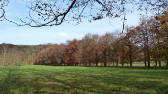 Kasteel Schaloen, Oud-Valkenburg, Limburg, Nederland - Romaine