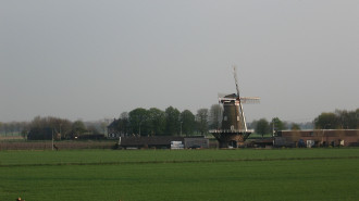Korenmolen De Drie Waaien - DF Blom
