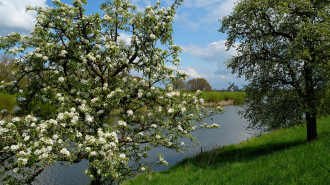 Landschap Betuwe - Cultureel Gelderland