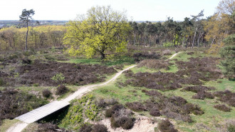 Mookerschans - Take Mirrenberg