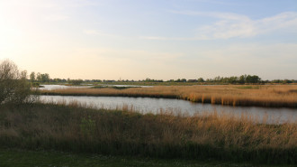 Natuurgebied het Twiske - PersianDutchNetwork