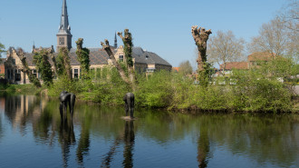 Oudewater, de Sint-Franciskuskerk vanaf de Waardsedijk - Michielverbeek