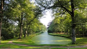 Overtuin Lyndensteyn Beetsterzwaag - Gouwenaar