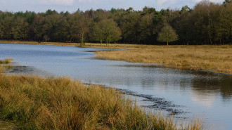 Pannenhoef - G. Lanting