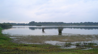 Sarsven en De Banen te Nederweert - A ansems