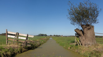 Tussen Ameide en Meerkerk, sloot in polderlandschap - Michielverbeek