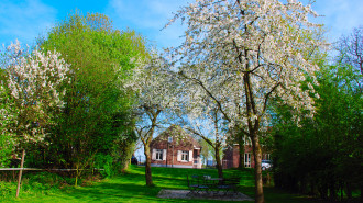 Walburgisstraat Ohe en Laak - Roger1987wal