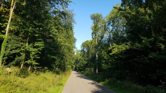 Weg langs het Meerssenerbroek - Romaine