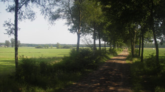 Weilanden in het Meerven - Chris Peel