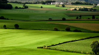 Agricultural_landscape_Mergelland - Axel Hartman