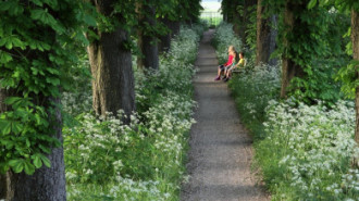 Rijksdienst voor het Cultureel Erfgoed: Bijlsma, Simon