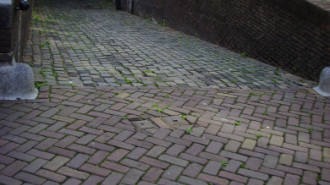 WikiMedia