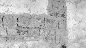 Rijksdienst voor het Cultureel Erfgoed: Hoog, G. de