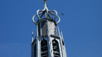 WikiMedia