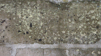 Rijksdienst voor het Cultureel Erfgoed: Koning, de-Koning, J.P. de