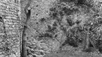 Rijksdienst voor het Cultureel Erfgoed: Wal, A.J. van der