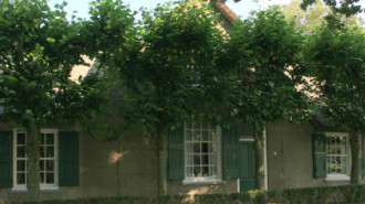 WikiMedia