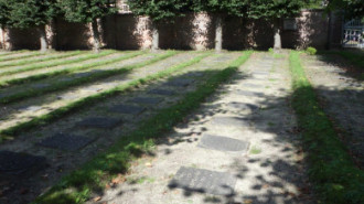 WikiMedia