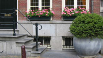 WikiMedia