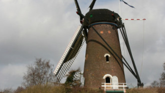 WikiMedia