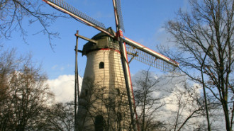 WikiMedia