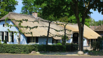 WikiMedia