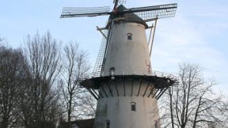 WikiMedia