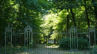 WikiMedia