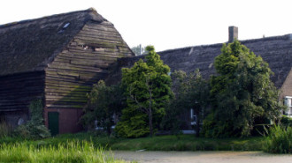 WikiMedia