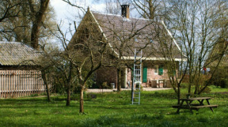 WikiMedia